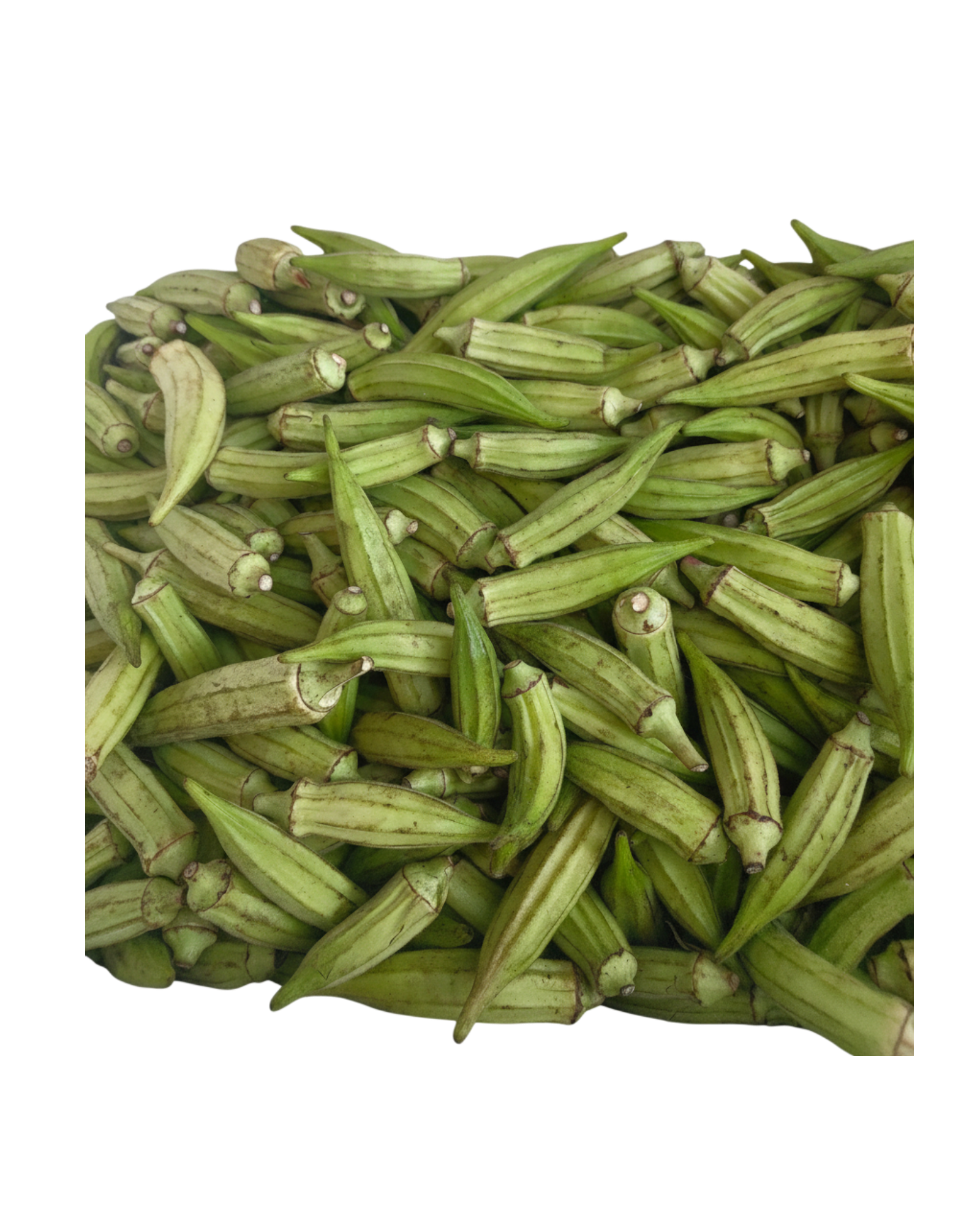 Fresh Okra