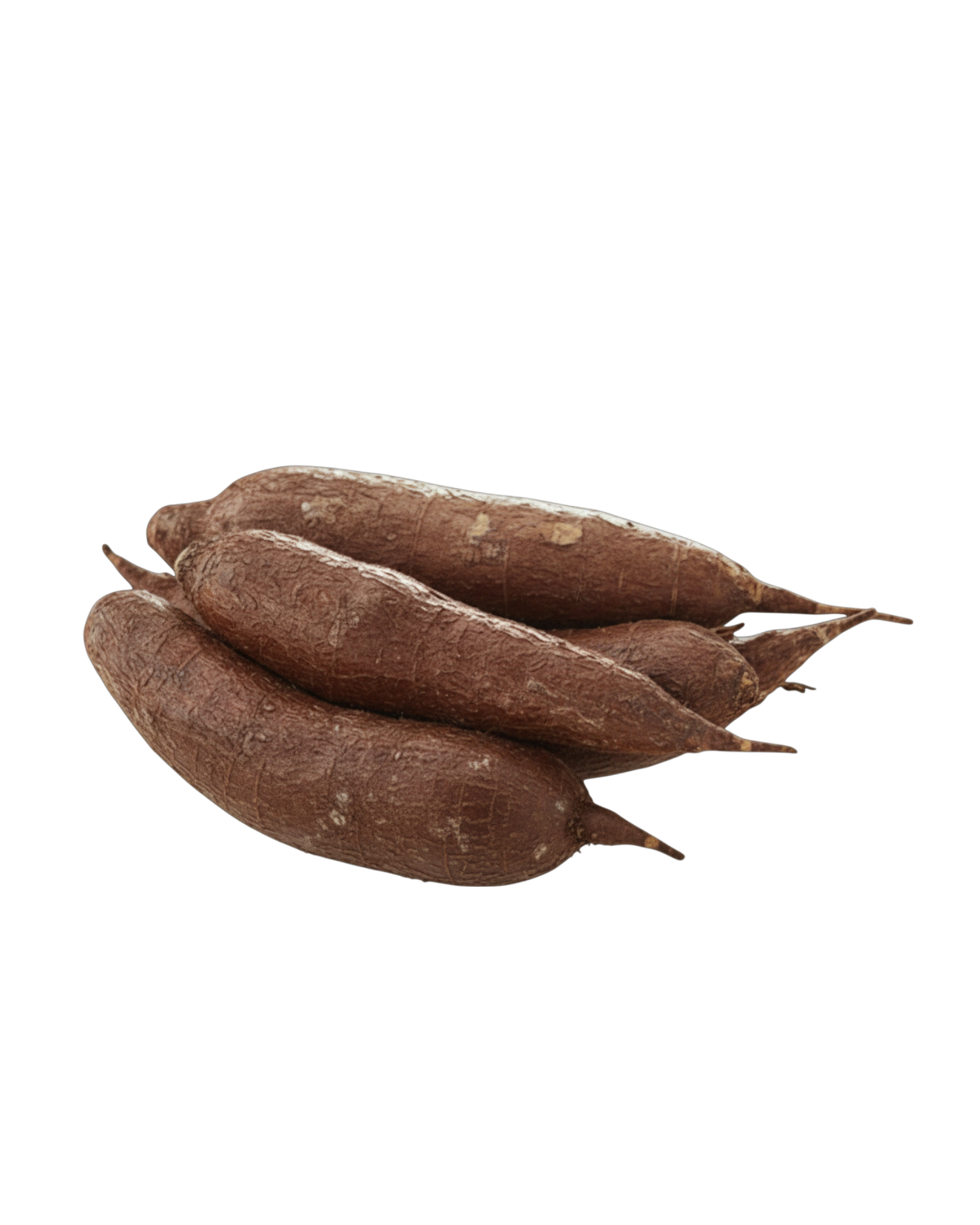 Kwanga Cassava
